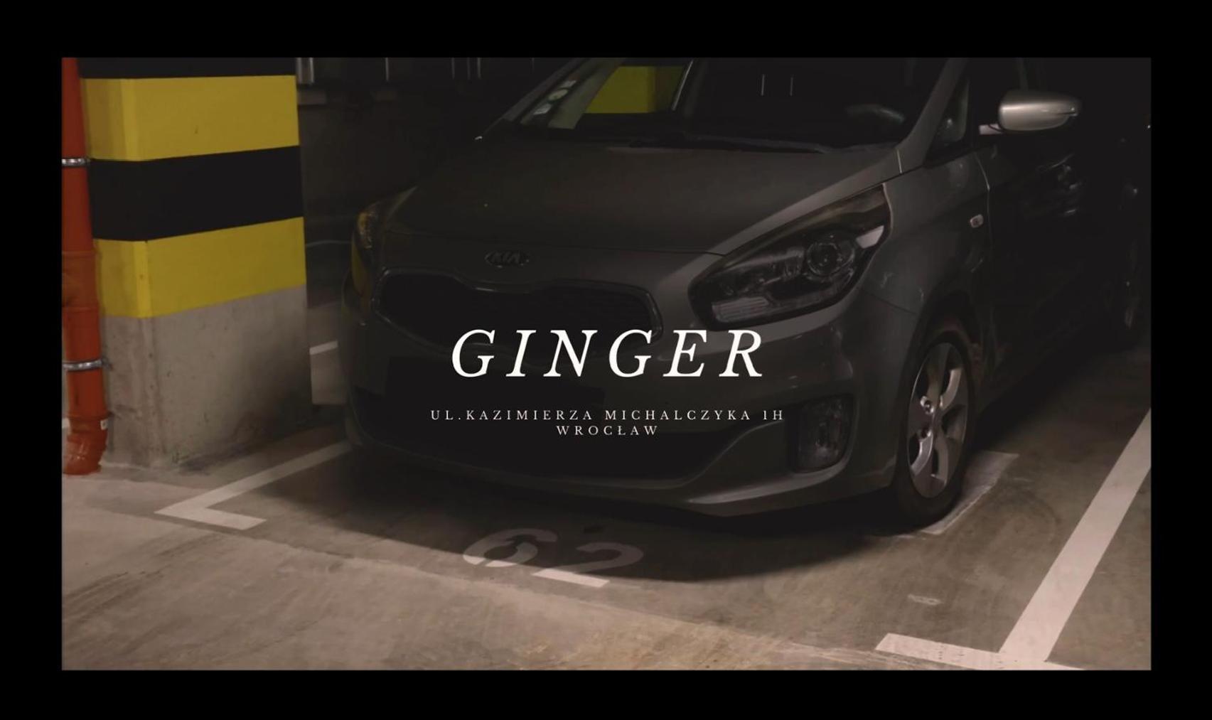Apartament Ginger - Stare Miasto - Bezplatny Parking - Youtube Apartament Ginger We Wroclawiu المظهر الخارجي الصورة